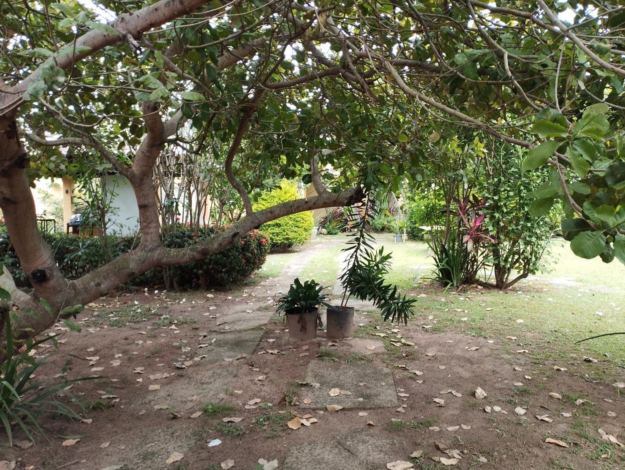 לאורו דה פרייטס Lumiar Garden Suites E Chales Em Vilas Do Atlantico מראה חיצוני תמונה