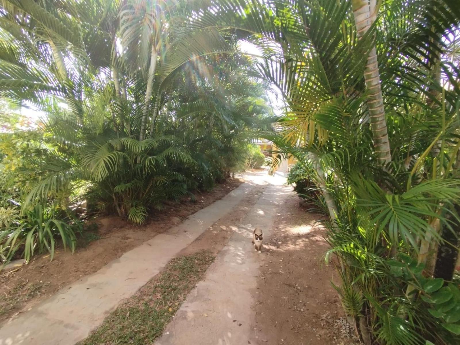 לאורו דה פרייטס Lumiar Garden Suites E Chales Em Vilas Do Atlantico מראה חיצוני תמונה